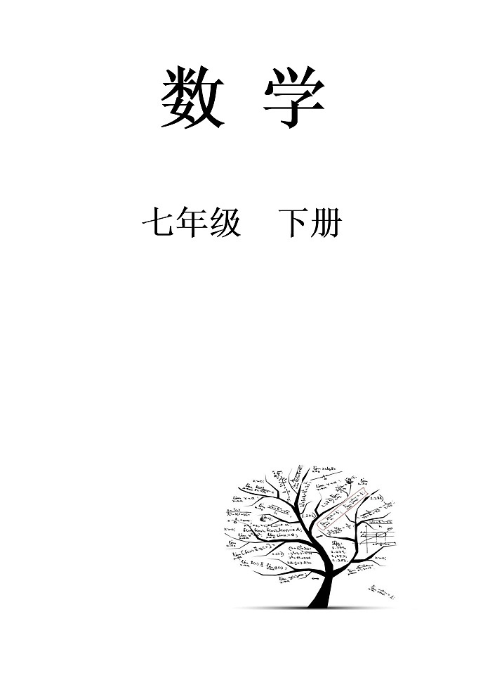 泰安市泰山学院附属中学鲁教版七年级数学下册导学案01