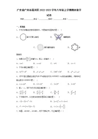 广东省广州市荔湾区2022-2023学年八年级上学期期末数学试卷（含答案）