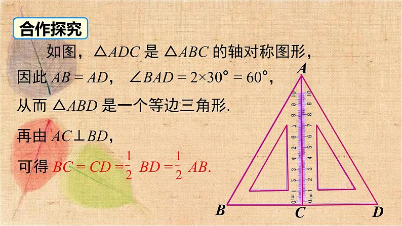 湘教版数学八年级下册 1.1 第2课时 含30°角的直角三角形的性质及其应用 课件05