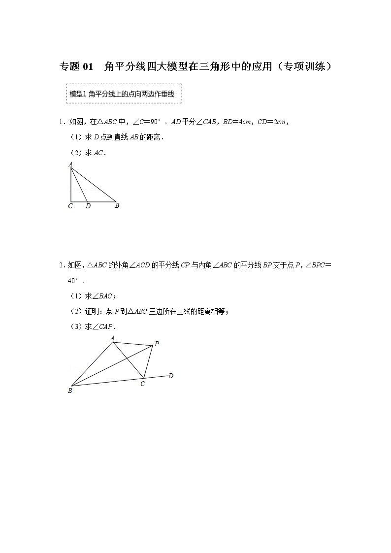 专题01  角平分线四大模型在三角形中的应用（专项训练）-备战中考数学《重难点解读•专项训练》（全国通用）