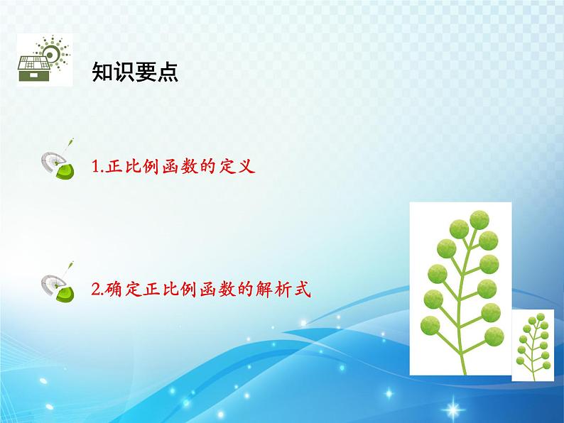 19.2.1 第1课时 认识正比例函数 人教版八年级数学下册教学课件第2页