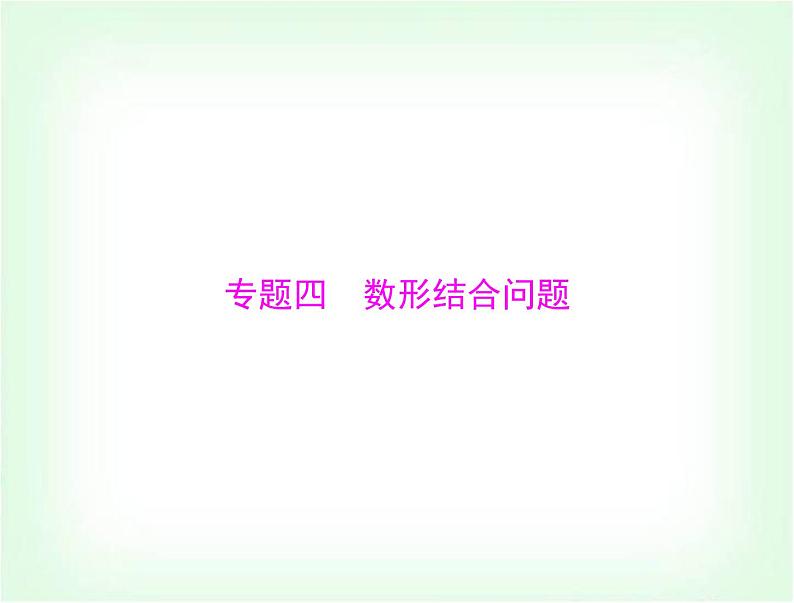 中考数学总复习专题四数形结合问题课件第1页