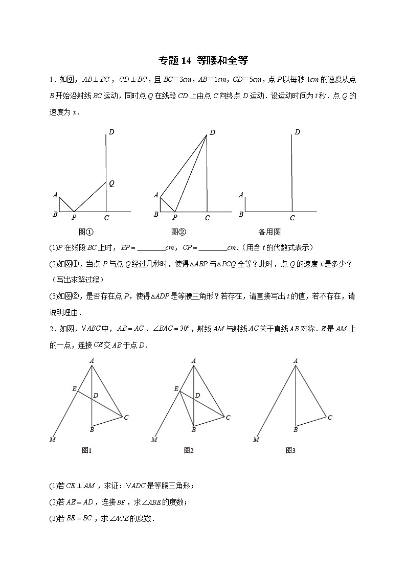 专题14 等腰和全等-八年级数学上册常考点微专题提分精练(浙教版)01