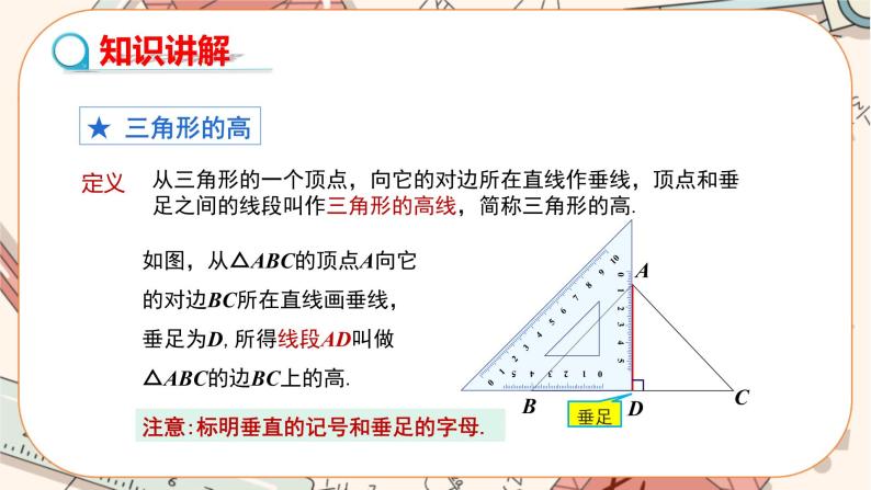 人教版数学八上11.1.2 三角形的高、中线与角平分线（课件+教案+学案+练习）04