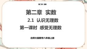 北师大版八年级上册1 认识无理数优质ppt课件