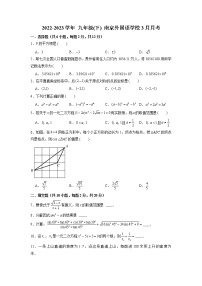 江苏省南京外国语学校2022—2023学年下学期3月月考九年级数学试卷