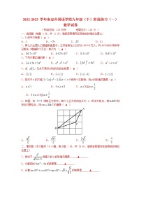 江苏省南京外国语学校2022-2023学年九年级下学期月考阶段练习(一)数学试题
