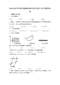 江苏省连云港市新海实验中学2022-2023学年九年级下学期3月月考数学试卷