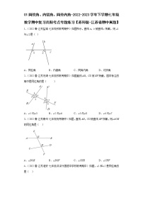 01同位角、内错角、同旁内角-2022-2023学年下学期七年级数学期中复习高频考点专题练习【苏科版-江苏省期中真题】