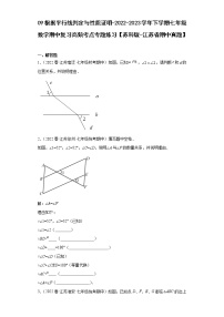 09根据平行线判定与性质证明-2022-2023学年下学期七年级数学期中复习高频考点专题练习【苏科版-江苏省期中真题】