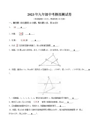 数学人教版九年级下册2023年中考九年级中考模拟测试卷