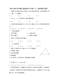 2022-2023学年浙江省温州市七年级（上）期末数学试卷（含解析）