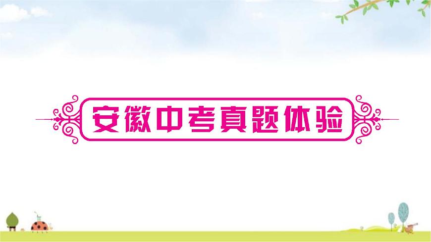 中考數(shù)學(xué)復(fù)習(xí)第五章四邊形第一節(jié)多邊形與平行四邊形教學(xué)課件第6頁