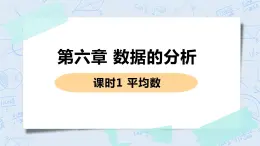 第六章 数据的分析 课时1 平均数 课件