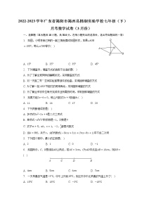 2022-2023学年广东省揭阳市揭西县棉湖实验学校七年级（下）月考数学试卷（3月份）(含解析）