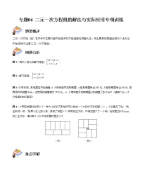 专题04 二元一次方程组的解法与实际应用专项训练——2022-2023学年苏科版数学七年级下册单元综合复习（原卷版+解析版）