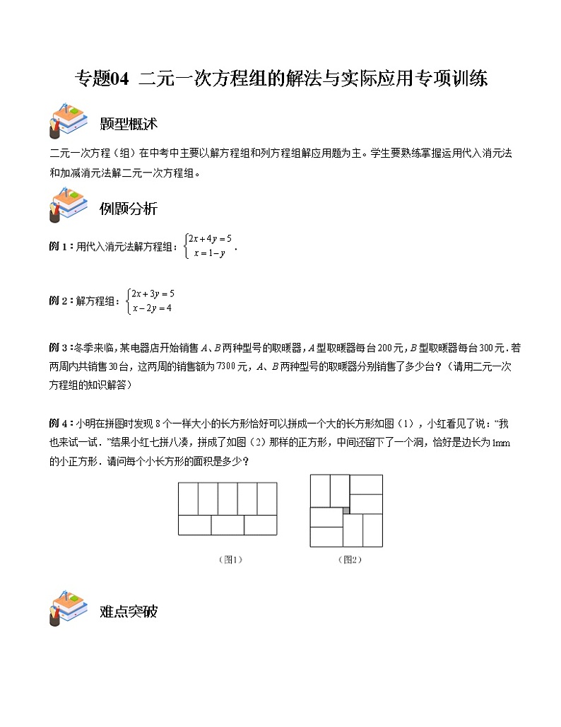 专题04 二元一次方程组的解法与实际应用专项训练(原卷版)第1页