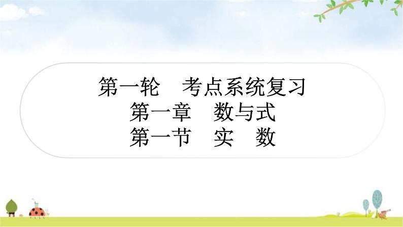 中考数学复习第一章数与式第一节实数作业课件第1页