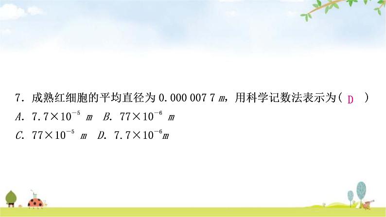 中考数学复习第一章数与式第一节实数作业课件第8页