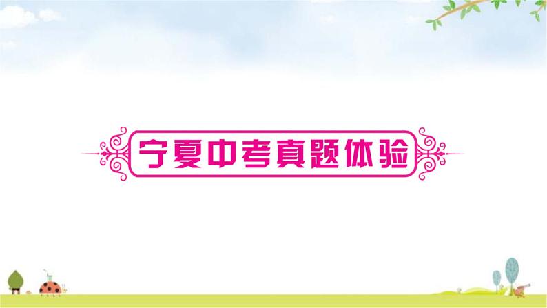 中考数学复习第八章统计与概率第二节概率教学课件08