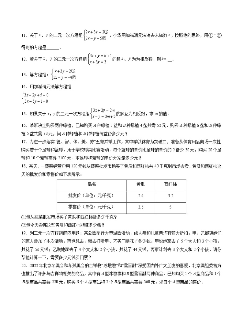 第10章 二元一次方程组【专项练习】——2022-2023学年苏科版数学七年级下册单元综合复习（原卷版+解析版）02