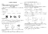山东省泰安市东平县2022-2023学年九年级下学期模拟考试 数学试题
