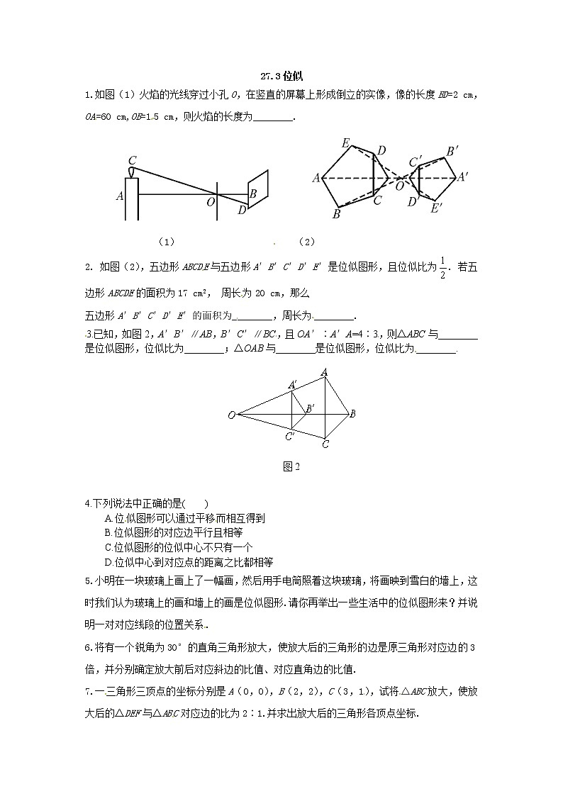 数学九年级下册27.3 位似 同步练习01