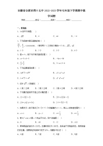 安徽省合肥市四十五中2022-2023学年七年级下学期期中数学试题