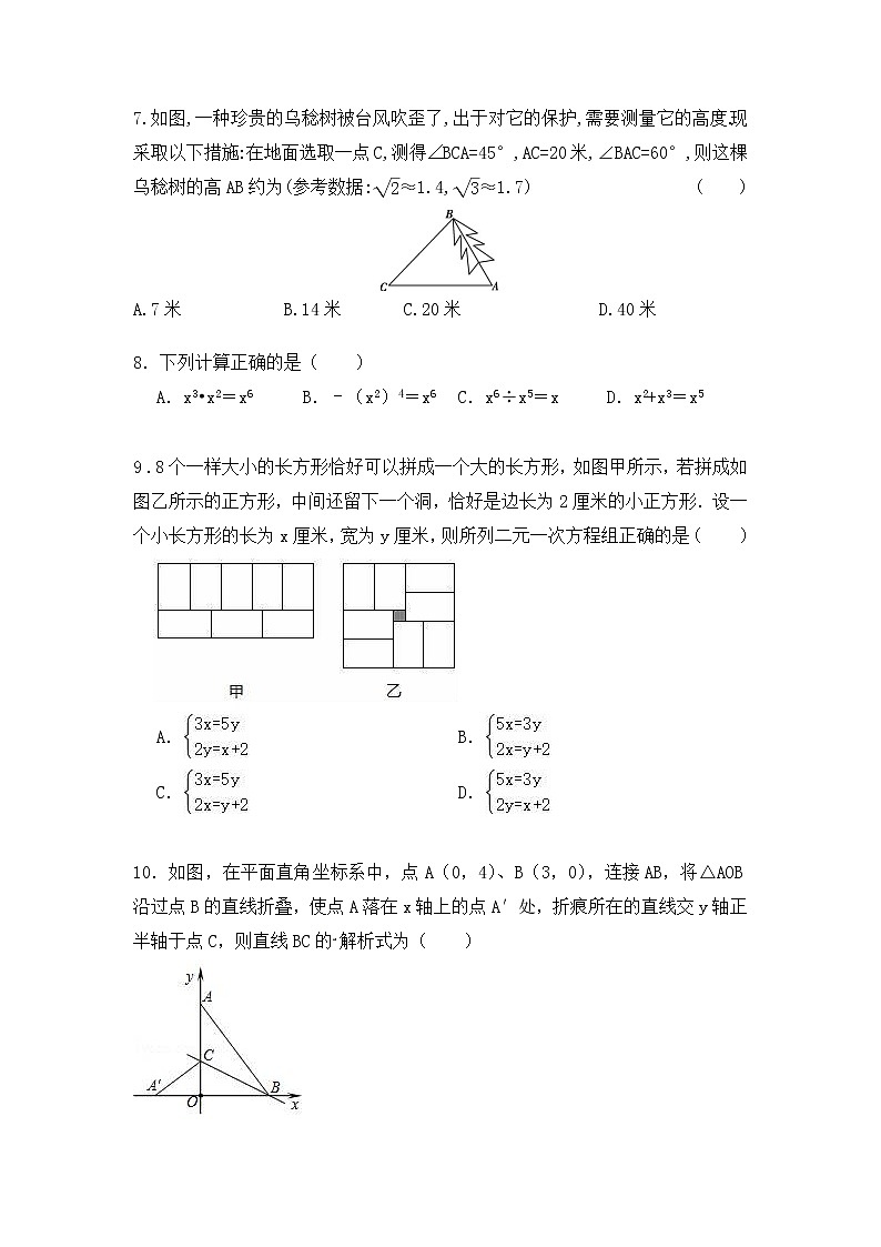 2023年广东省清远市佛冈县二校联考一模数学试题02