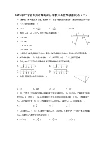 2023年广东省东莞市厚街海月学校中考数学模拟试卷（三）（含解析）