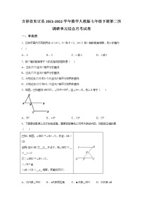 吉林省东辽县2021-2022学年数学人教版七年级下册第二次调研单元综合月考试卷(含答案)