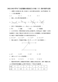 2022-2023学年广东省揭阳市揭东区七年级（下）期中数学试卷（含解析）