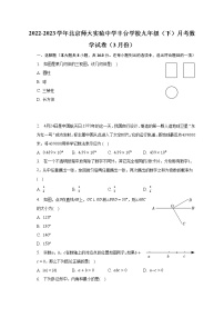 2022-2023学年北京师大实验中学丰台学校九年级（下）月考数学试卷（3月份）（含解析）