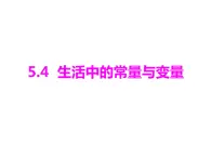 5.4生活中的常量与变量 课件-青岛版七年级数学上册