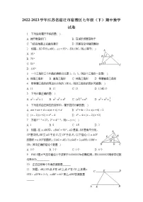 江苏省宿迁市宿豫区2022-2023学年七年级下学期期中数学试卷