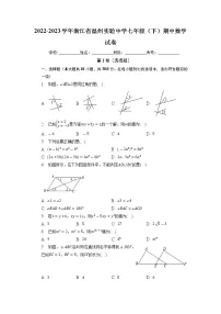 浙江省温州实验中学2022-2023学年七年级下学期期中数学试卷