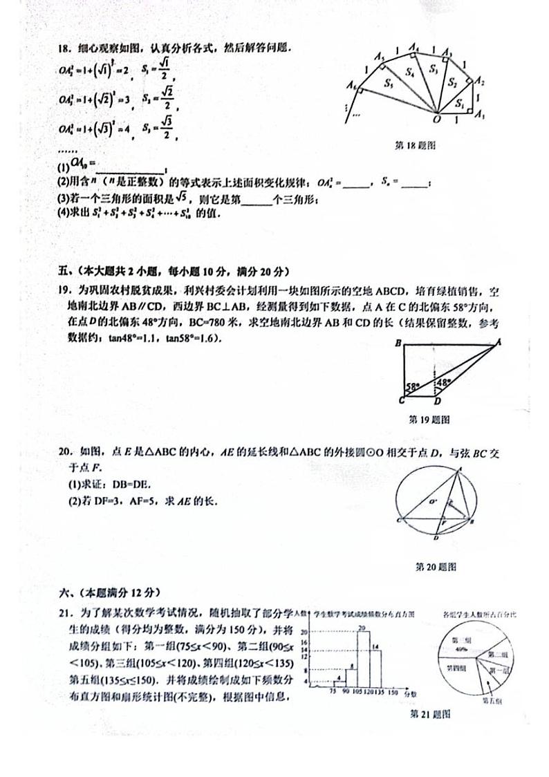 2023年安徽省芜湖市无为市九年级中考二模数学试题第3页