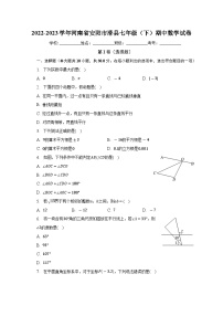 河南省安阳市滑县2022-2023学年七年级下学期期中数学试卷(含答案)