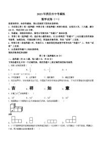 2023年湖北省武汉市中考一模数学试卷（含答案）