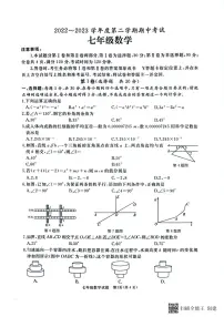 山东省枣庄市滕州市2022～2023学年七年级下学期期中考试数学试题