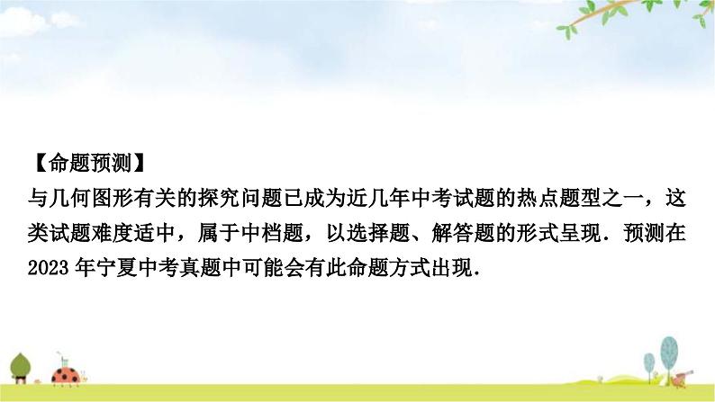 中考数学复习重难点突破十二函数与几何动态探究题考向1由平移引起的探究问题教学课件第2页