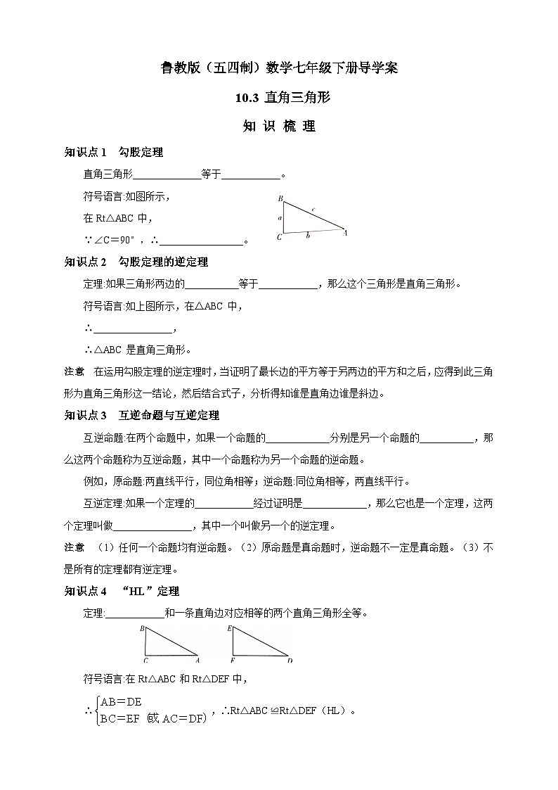 鲁教版(五四制)数学七年级下册导学案 10.3 直角三角形01