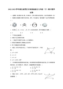 2022-2023学年湖北省武汉市东湖高新区七年级（下）期中数学试卷（含解析）