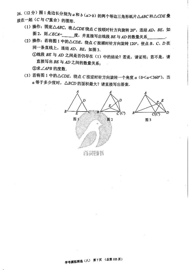 2023版中考数学211济南专版 11第3页