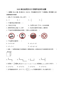 2023年湖北省武汉市中考数学适应性试题（含答案）