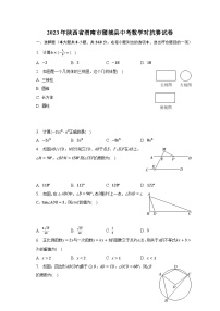 2023年陕西省渭南市蒲城县中考数学对抗赛试卷（含解析）