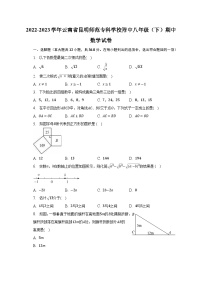 2022-2023学年云南省昆明师范专科学校附中八年级（下）期中数学试卷（含解析）