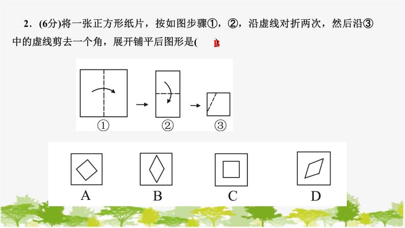 5.4 利用轴对称进行设计 北师版数学七年级下册课件03