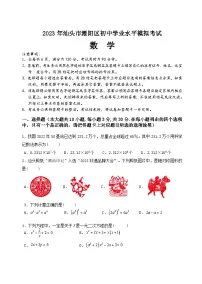 2023年广东省汕头市潮阳区潮阳区九年级中考模拟数学试题(含答案)