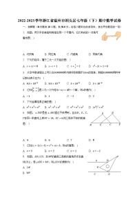 2022-2023学年浙江省温州市洞头区七年级（下）期中数学试卷(含解析）